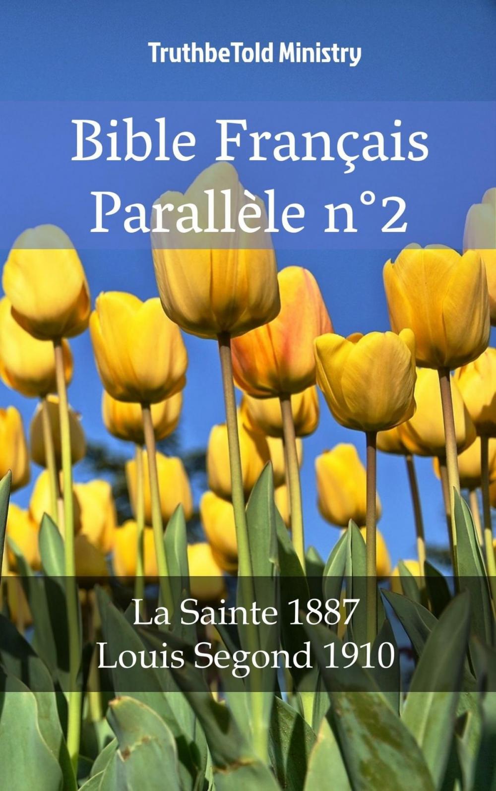 Big bigCover of Bible Français Parallèle n°2