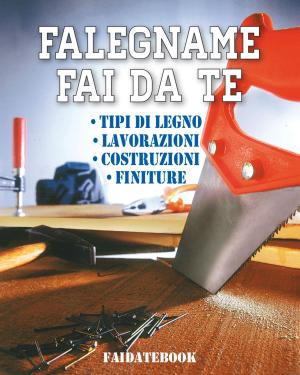 Cover of the book Falegname fai da te by Rebecca Kohan