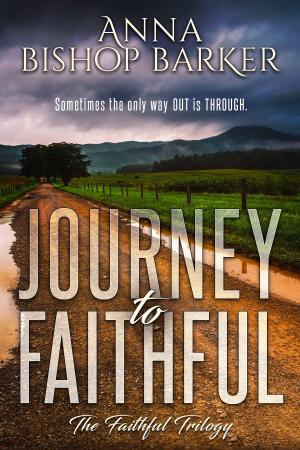 Cover of the book Journey To Faithful by Marla Shin
