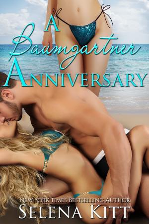 Cover of the book A Baumgartner Anniversary by Candace Blevins