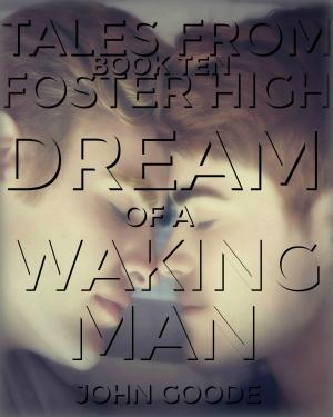 Cover of Dream of a Waking Man