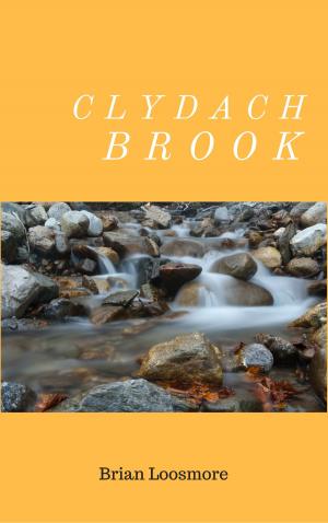 Cover of the book Clydach Brook by D.M.Daw