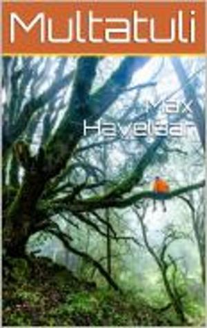 Cover of the book Max Havelaar by Plaute
