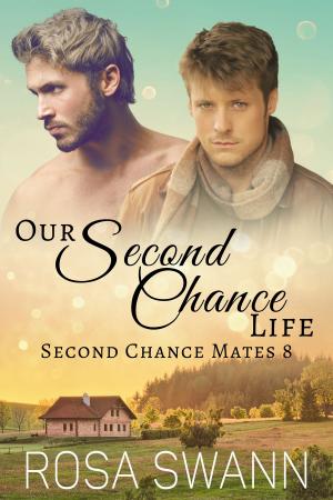 Cover of the book Our Second Chance Life by Jennifer Julie Miller