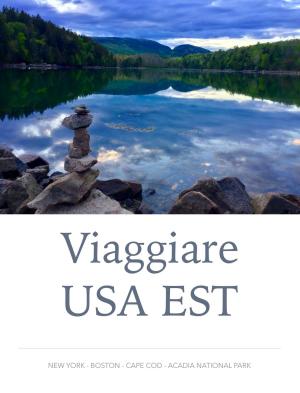 Book cover of Viaggiare USA EST