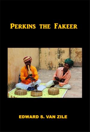 Cover of the book Perkins the Fakeet by E. Prentiss