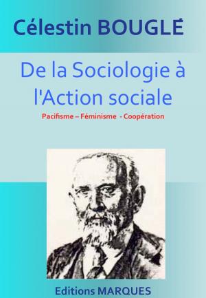 Cover of the book De la Sociologie à l'Action sociale by Jean-Jacques Rousseau