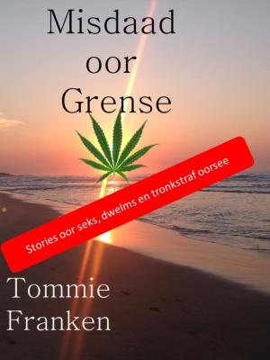 Cover of Misdaad oor Grense