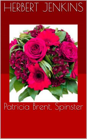 Book cover of Patricia Brent, Spinster