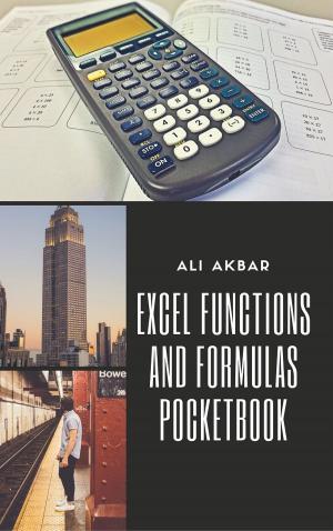 Book cover of Excel Functions and Formulas Pocketbook