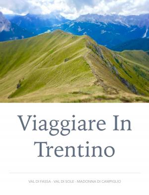Book cover of Viaggiare in Trentino
