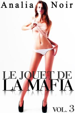 Cover of Le Jouet de la Mafia Vol. 1sur la plag