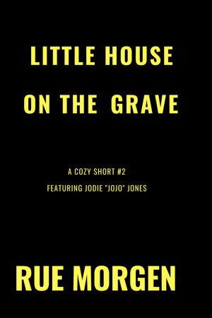 Cover of the book Little House on the Grave by Robin Merrill