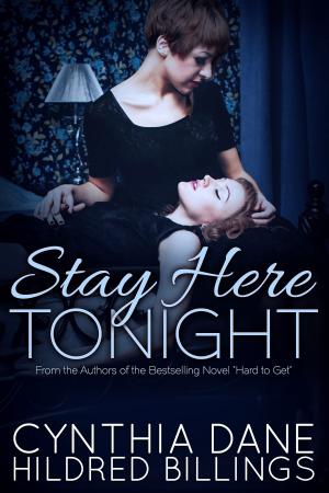 Cover of the book Stay Here Tonight by AK Faulkner