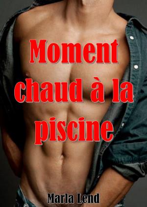 Book cover of Moment chaud à la piscine