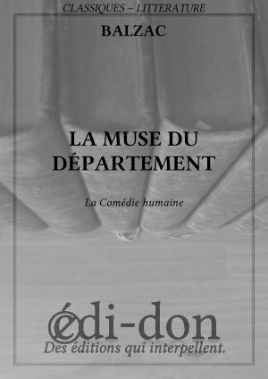 Cover of the book La muse du département by Benjamin Constant
