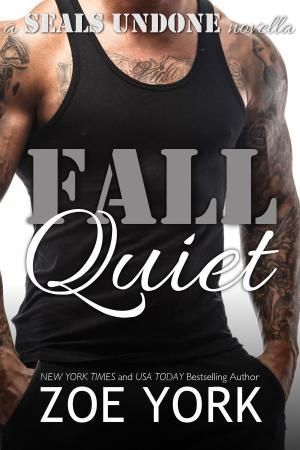 Cover of the book Fall Quiet by Aalina Nyx
