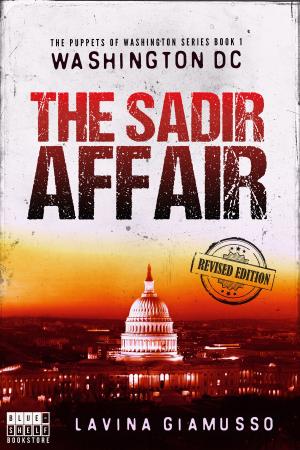 Cover of the book WASHINGTON DC: The Sadir Affair by Paolo Benetti