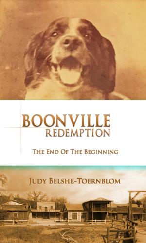 Book cover of Boonville Redemption