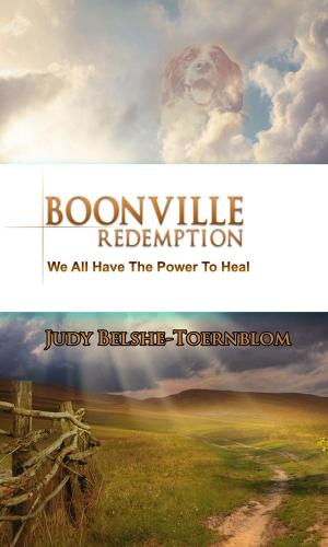 bigCover of the book Boonville Redemption by 