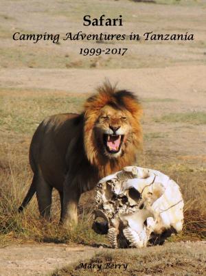 Cover of the book Safari Camping Adventures in Tanzania 1999-2017 by Julie Buckley, Jason Buckley
