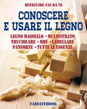 Cover of the book Conoscere e usare il legno by Valerio Poggi, Roberto Paravagna