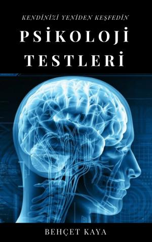 Cover of Psikoloji Testleri