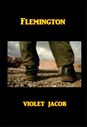 Cover of the book Flemington by Clarence Darrow