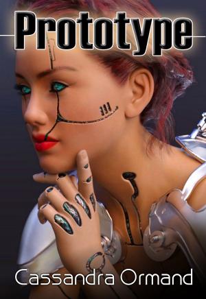 Cover of the book Prototype by Artemis Greenleaf