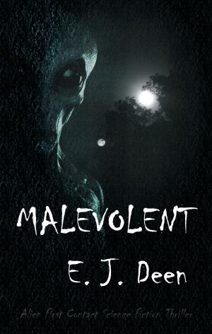 Cover of the book Malevolent by Rhonda Parrish (editor), Alexandra Seidel (editor)