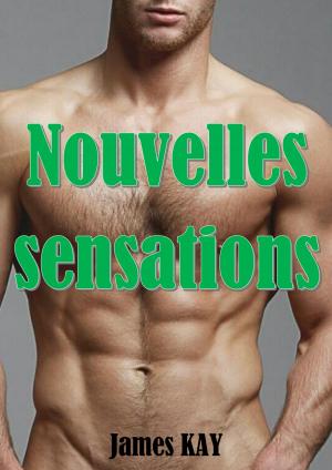 Book cover of Nouvelles sensations