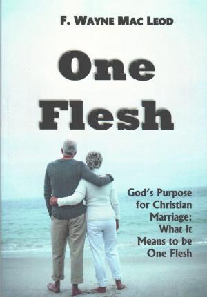 Cover of the book One Flesh by Paul Volkov