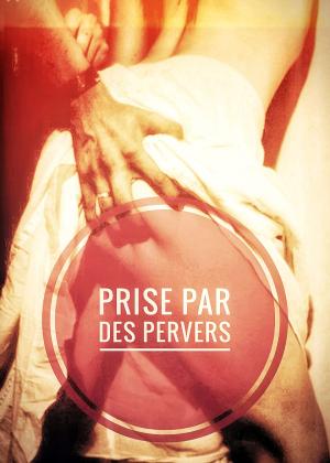 Book cover of Prise par des Pervers