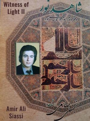 Cover of the book Witness of Light II by Amir Ali Siassi, Heydar Fouladi