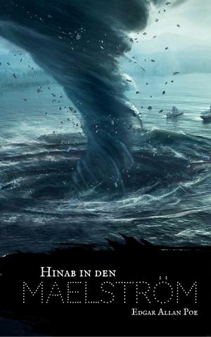 Cover of the book Hinab in den Maelström by Herman Melville
