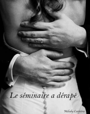 Cover of the book Le séminaire a dérapé by Régis BATREL