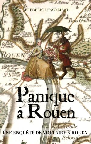 Cover of the book Panique à Rouen by Barbara Reichmuth Geisler