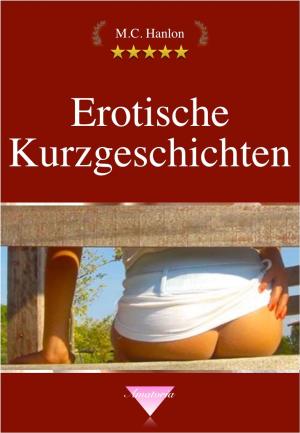 Book cover of Erotische Kurzgeschichten