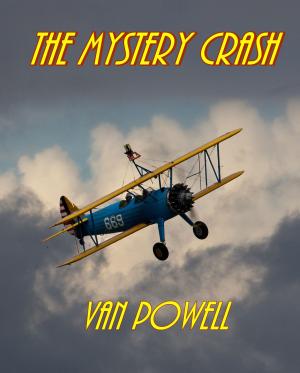 Cover of the book The Mystery Crash by Elizabeth Ellis