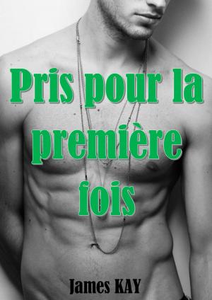 Book cover of Pris pour la première fois