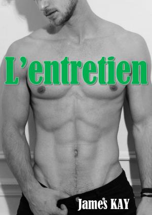 Cover of the book L'entretien by Roger Quine