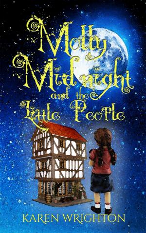 Cover of the book Molly Midnight and the Little People by Robin Wyatt Dunn