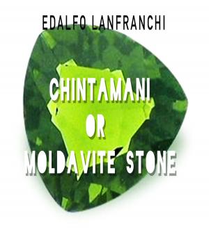 Cover of the book Chintamani or Moldavite by Vladimir Burdman