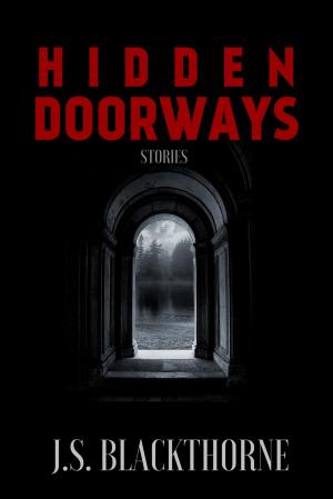 Book cover of Hidden Doorways