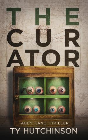Cover of the book The Curator by Patrick Aengus Wolfe