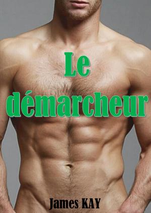 Book cover of Le démarcheur
