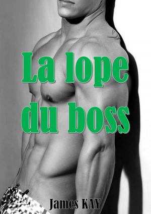 Cover of the book La lope du boss by James KAY