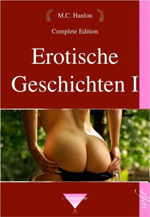 Book cover of Erotische Geschichten I