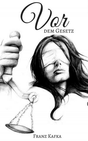 Book cover of Vor dem Gesetz