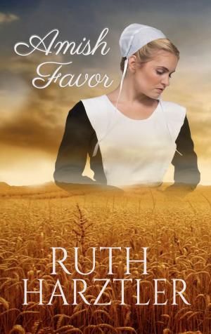 Cover of the book Amish Favor by Ruth Hartzler